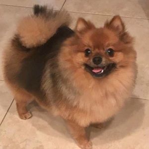 Meet your Posher, Lori